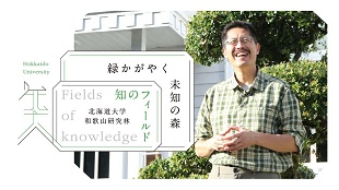 知のフィールド #6 北海道大学 和歌山研究林「緑かがやく 未知の森」